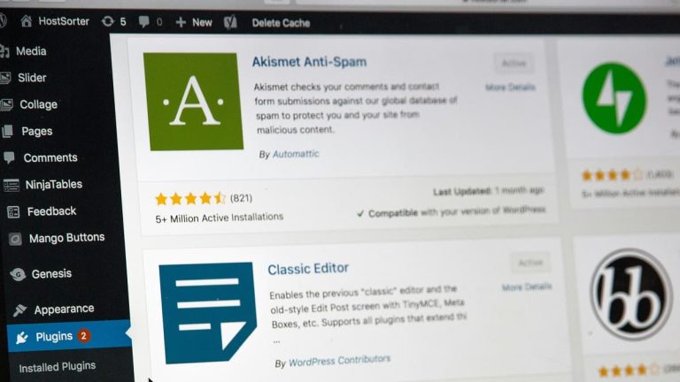A beginner comparing WordPress hosting and domain name services