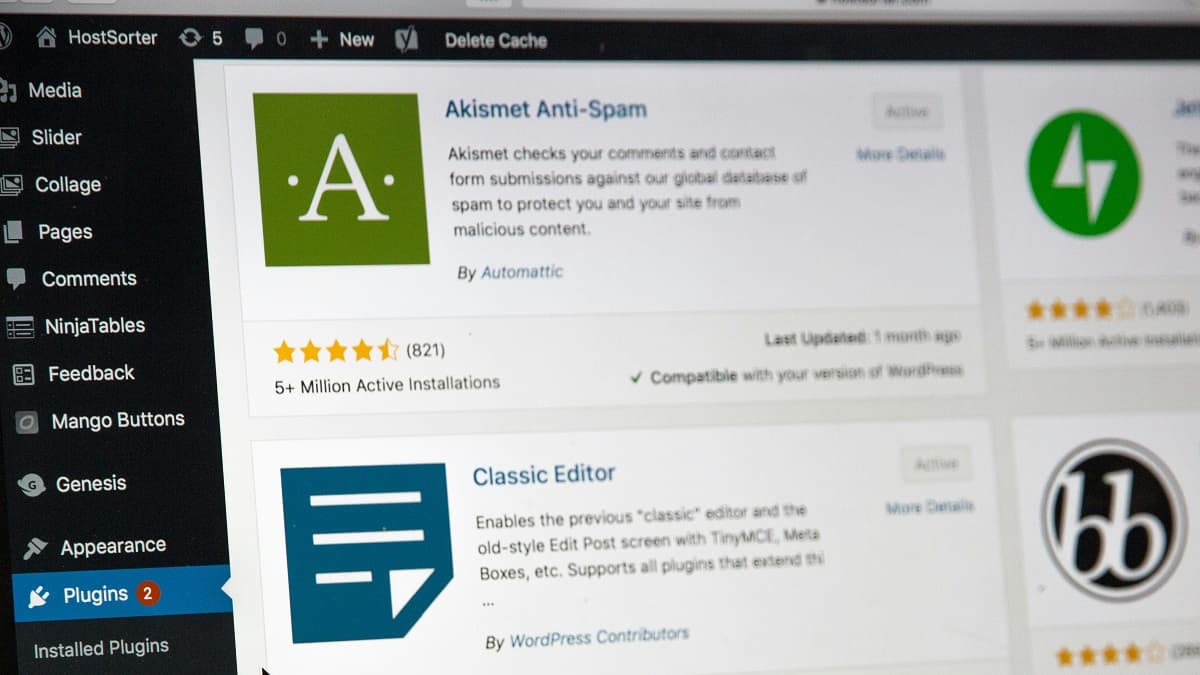 A beginner comparing WordPress hosting and domain name services